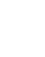 Роза ветров